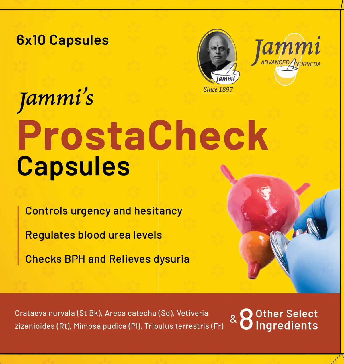 ProstaCheck Capsules 6's Jammi