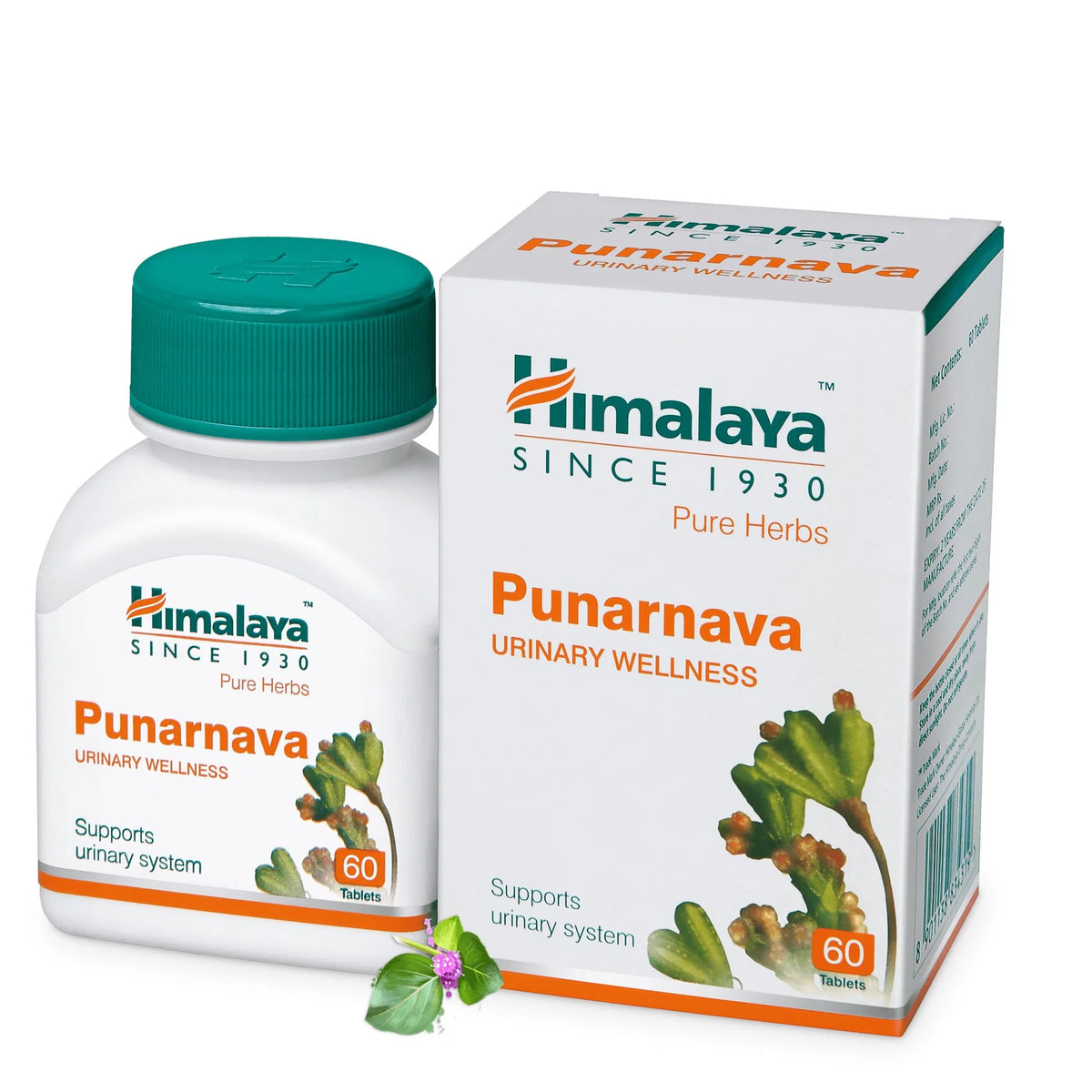 Punarnava Tablet (60 Tablets) Himalaya