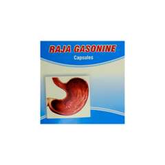 Gasonil Capsules 10 Caps VKS Raja
